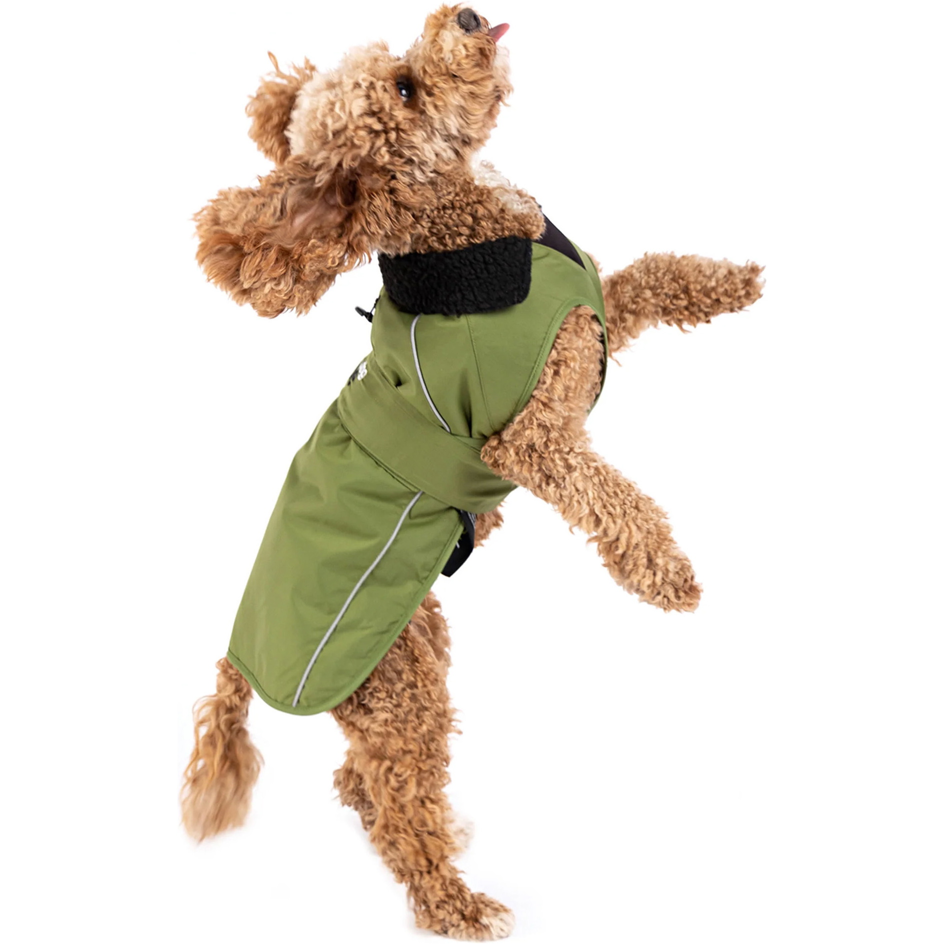 2026  Dryrobe -Hundemantel V3DRDC   Black  / Dunkelgrün
